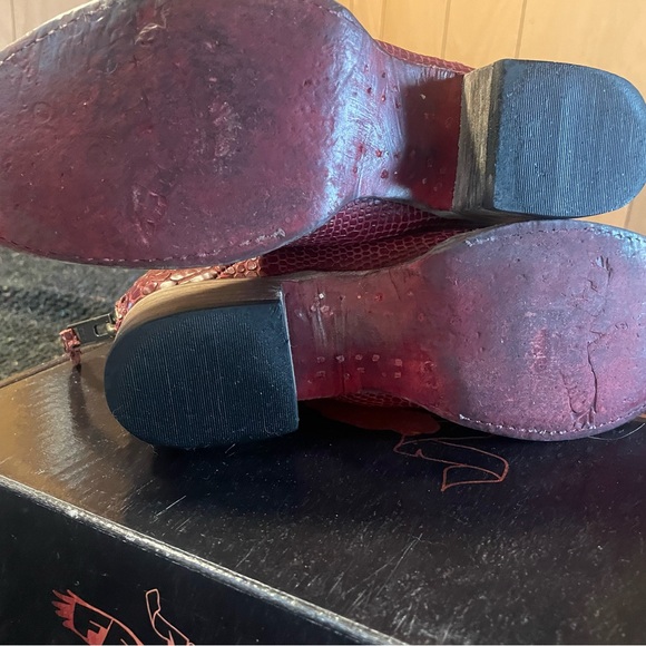 Freebird Gecko in Red - Picture 11 of 11